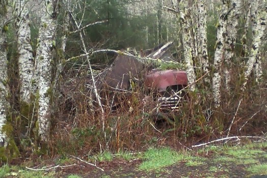 03-2012sean-phone-328-e1377042261105